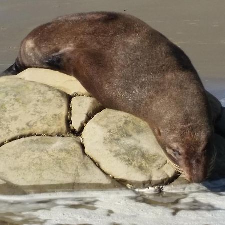 Hampden Moeraki Boulders Motel المظهر الخارجي الصورة