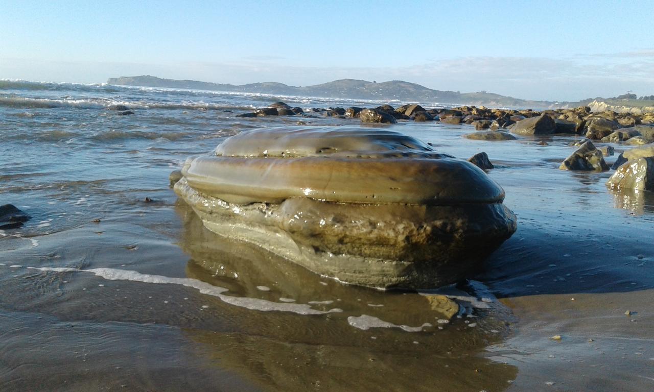 Hampden Moeraki Boulders Motel المظهر الخارجي الصورة